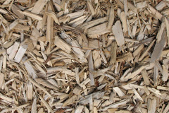biomass boilers Kirkton Of Monikie