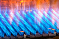 Kirkton Of Monikie gas fired boilers